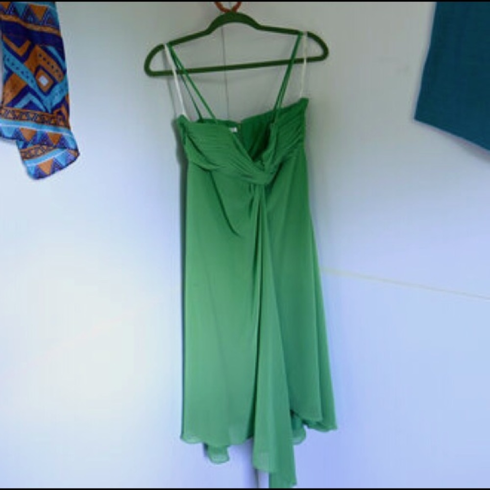 David’s Bridal Bridesmaid dress